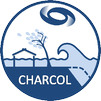 charcoal